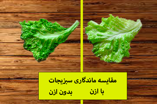 مقایسه ماندگاری سبزیجات با ازن 