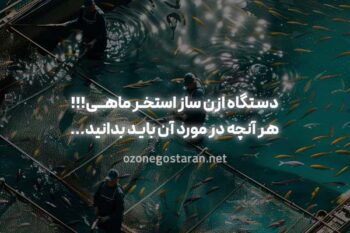 دستگاه ازن ساز استخر ماهی: هر آنچه در مورد آن باید بدانید!