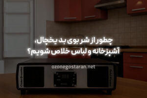 چطور از شر بوی بد یخچال، آشپزخانه و لباس خلاص شویم؟