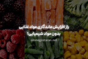راز افزایش ماندگاری مواد غذایی بدون مواد شیمیایی! بهترین روش کدامست؟